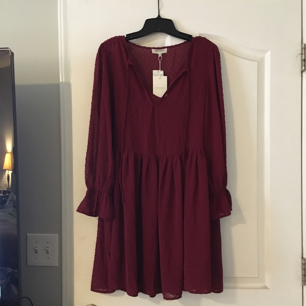 NWT Prospect the Label Swiss dot dress